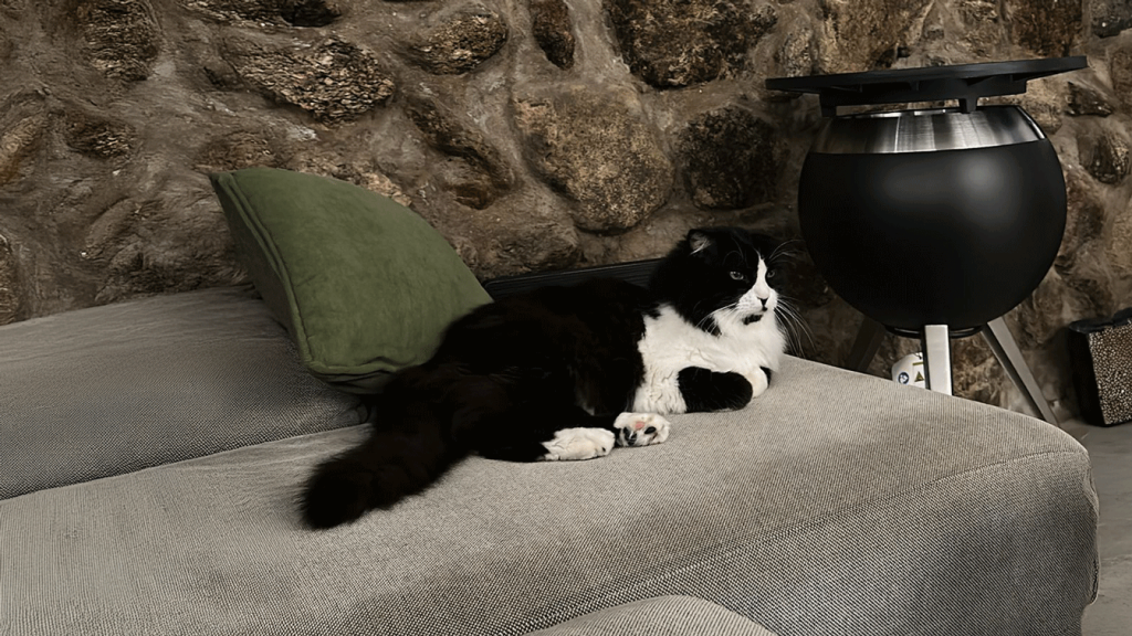 Pet Friendly Casa Rascafria