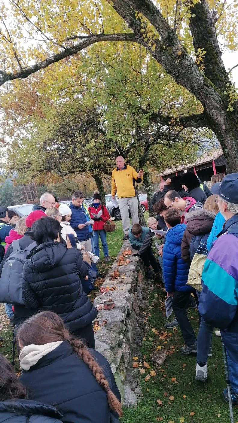 Grupo disfrutando de una salida micológica por los bosques de Rascafría